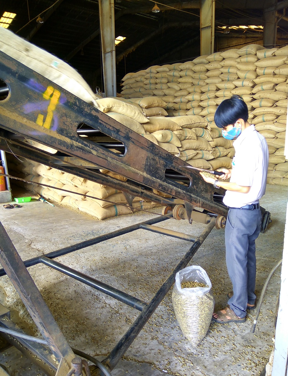 Inspecting processed beans